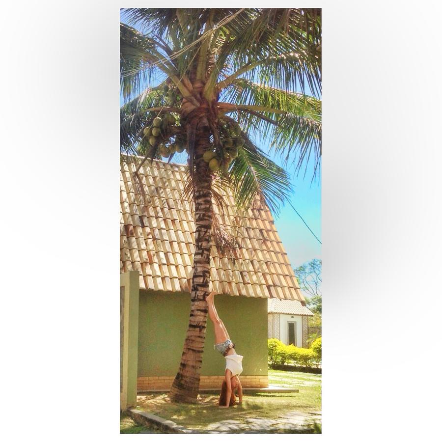 Hotel Pousada Dos Chales Campos dos Goytacazes Exteriér fotografie